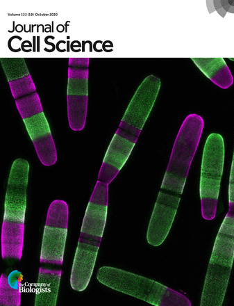 Plant Physiology May 2014 Cover