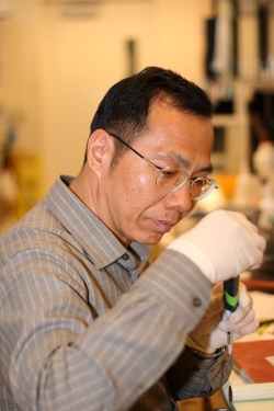 Lingxia Zhao