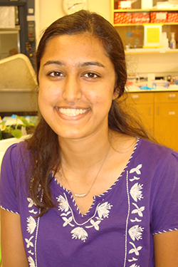 Meeta Shrivastava