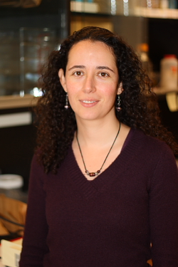 A. Paola Zuluaga