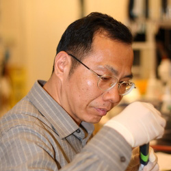 Lingxia Zhao
