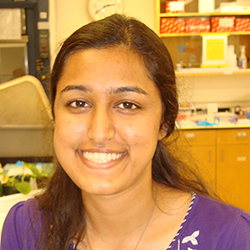 Meeta Shrivastava