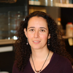 A. Paola Zuluaga
